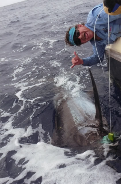 ANGLER: Dave Venn SPECIES: Blue Marlin ESTIMATED: 250 Plus Kg. LURE: 13″ Black + Green Dingo